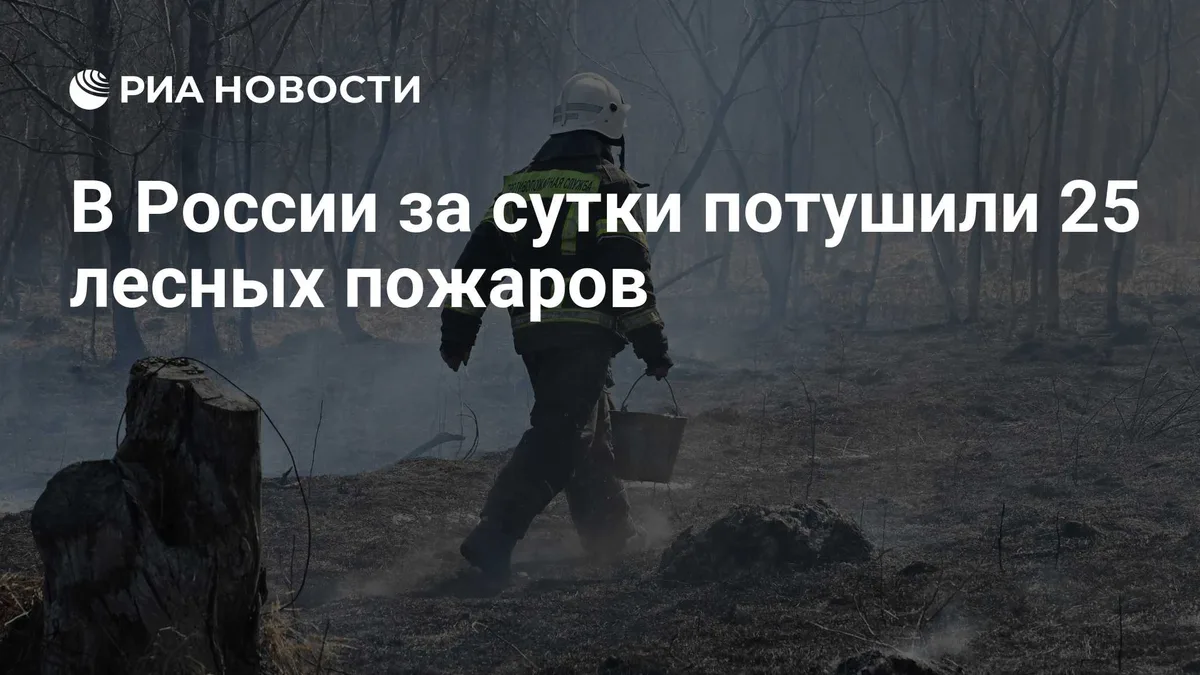 В России за сутки потушили 25 лесных пожаров