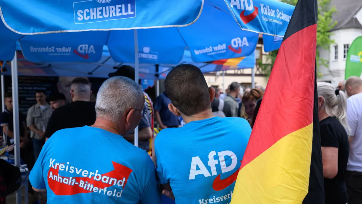 Landtagswahl in Sachsen-Anhalt: Wie viel Macht hätte eine AfD-Regierung?