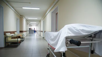 Ynet: в Израиле двое детей отравились шоколадом с галлюциногенными грибами