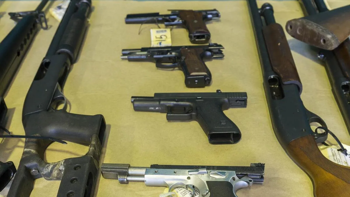 State gun ownership cap on the cards, if numbers align