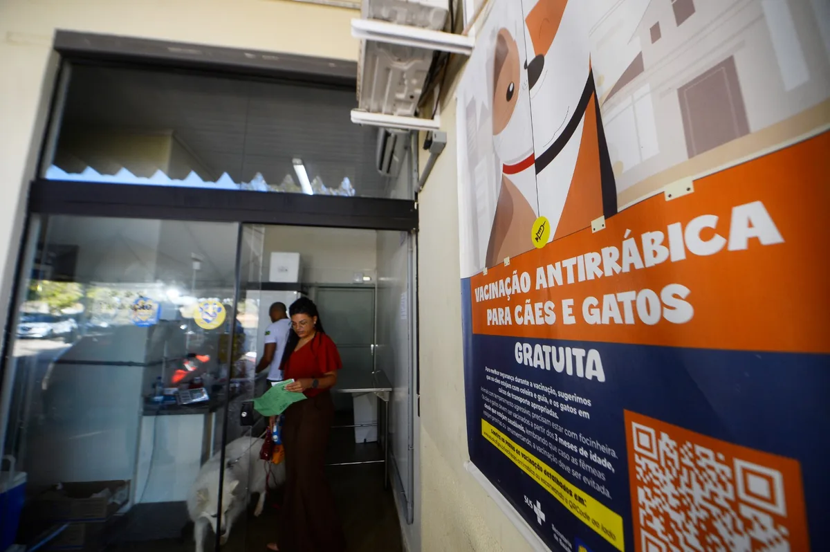 Após caso de raiva registrado no DF, Saúde monitora outros 2 animais