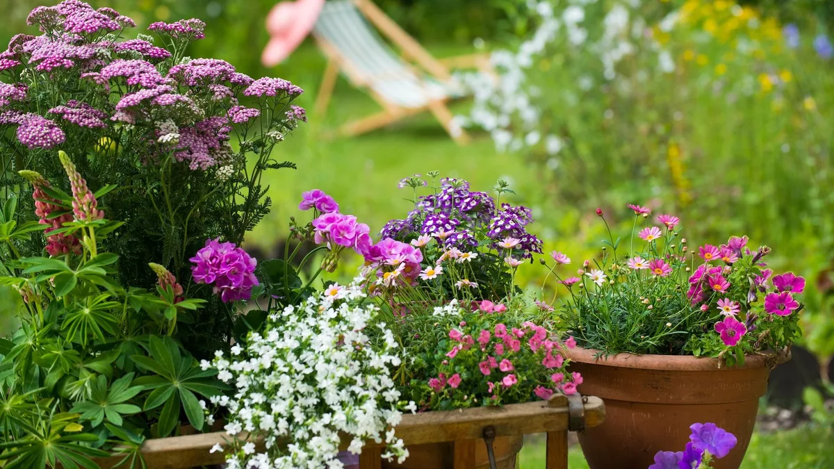 Plantas que florecen en septiembre: 10 especies fáciles de cuidar que llenan de color el jardín