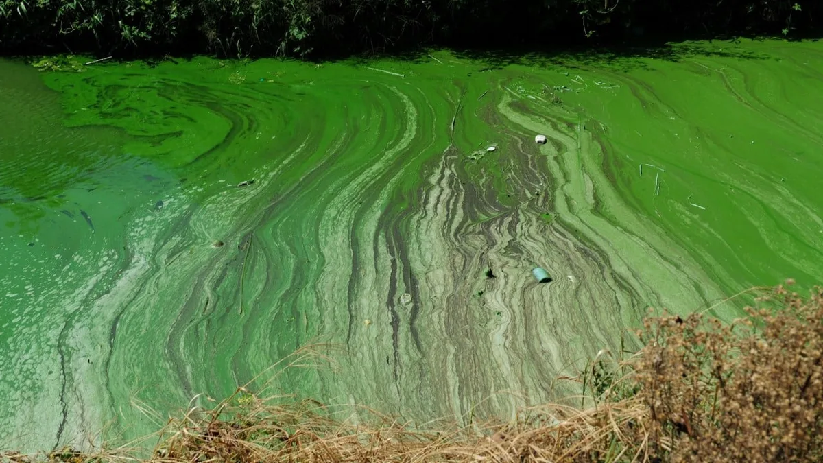 China makes officials liable for environmental damage for life