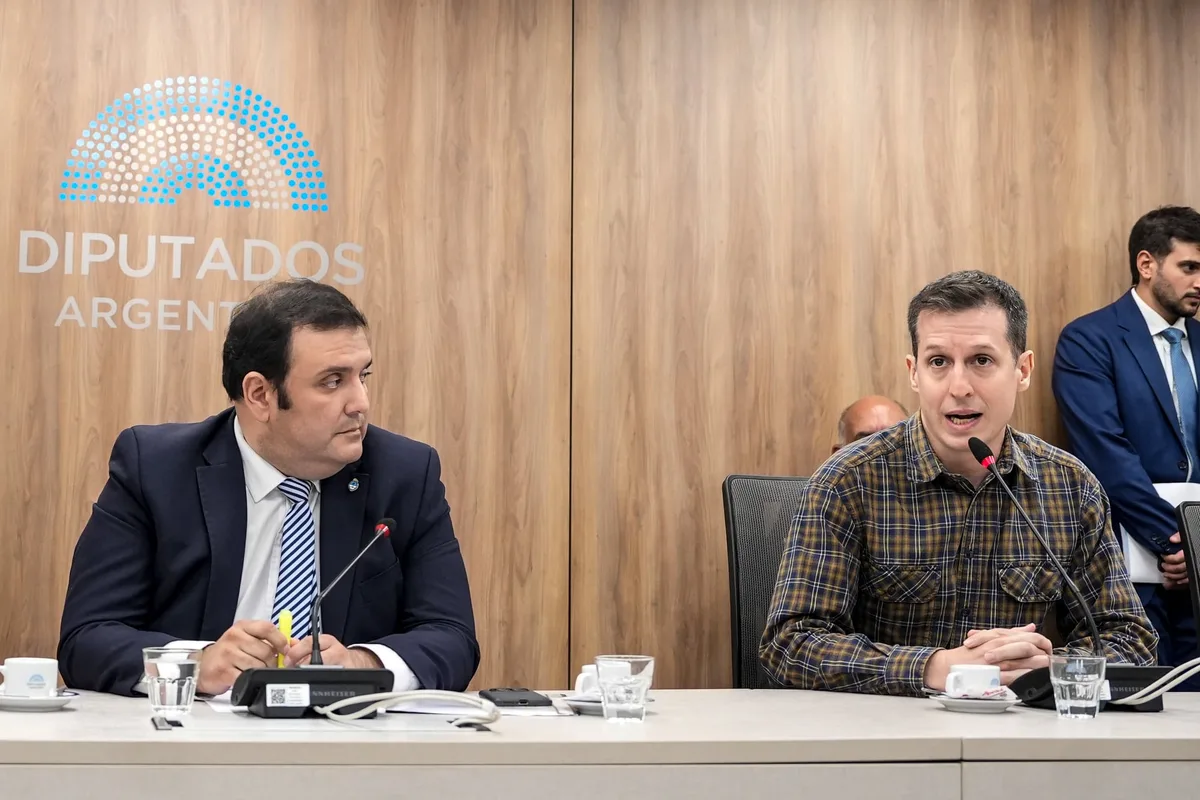 Diputados: La Libertad Avanza convocó a la Comisión de Discapacidad y busca desactivar la sesión opositora del 9 de septiembre