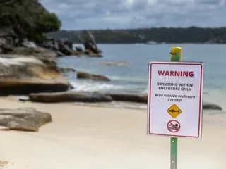 Australie : un homme hospitalisé après une attaque de requin