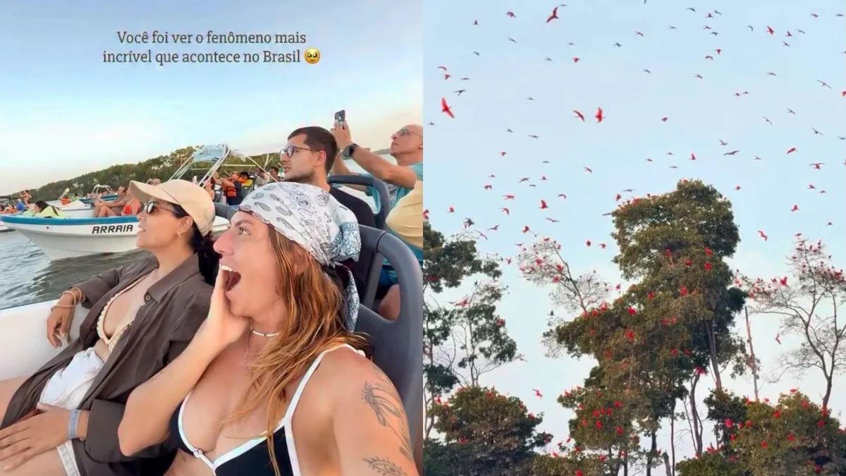 Influenciadora viraliza ao mostrar revoada de guarás no Delta do Parnaíba: 'Uma das coisas mais lindas que já vi'