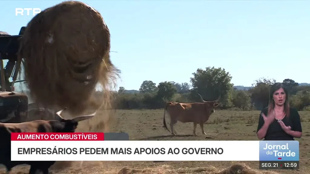 Combustíveis. Empresários pedem mais apoios ao Governo
