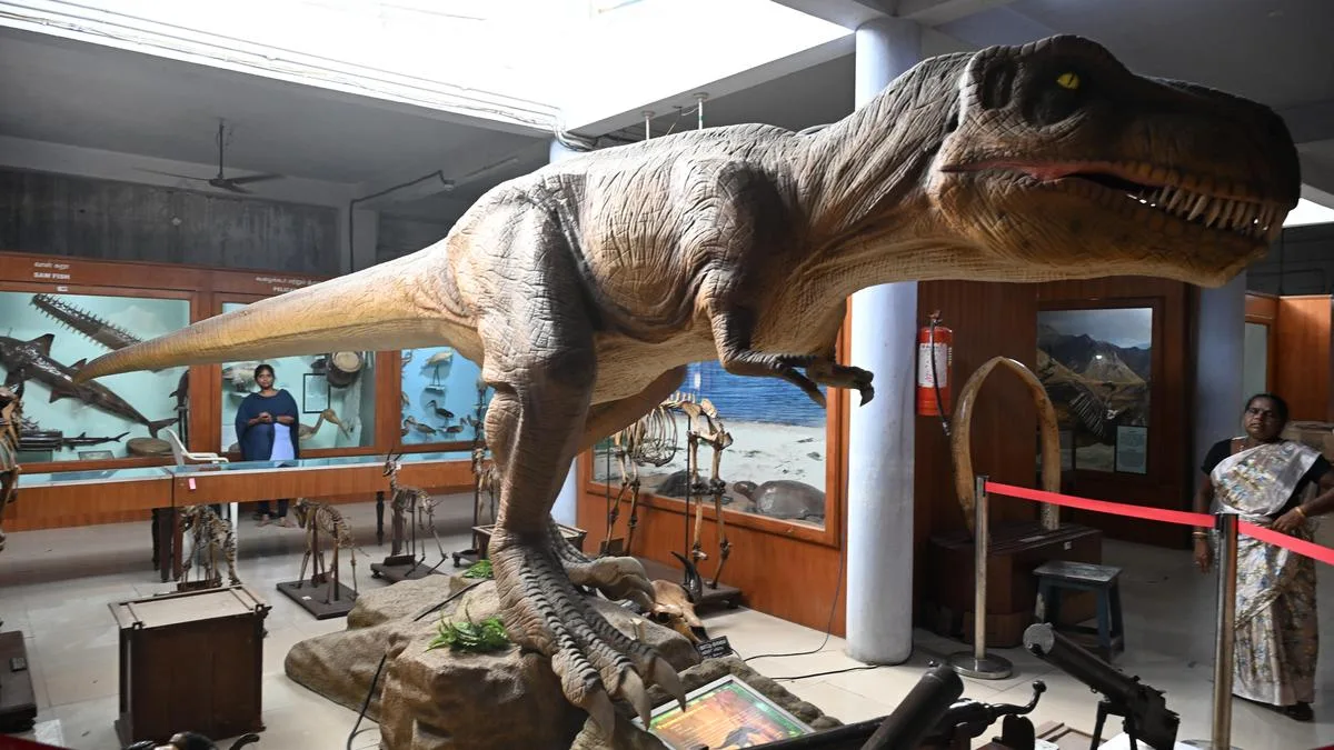 Pudukottai Government Museum waits for facelift