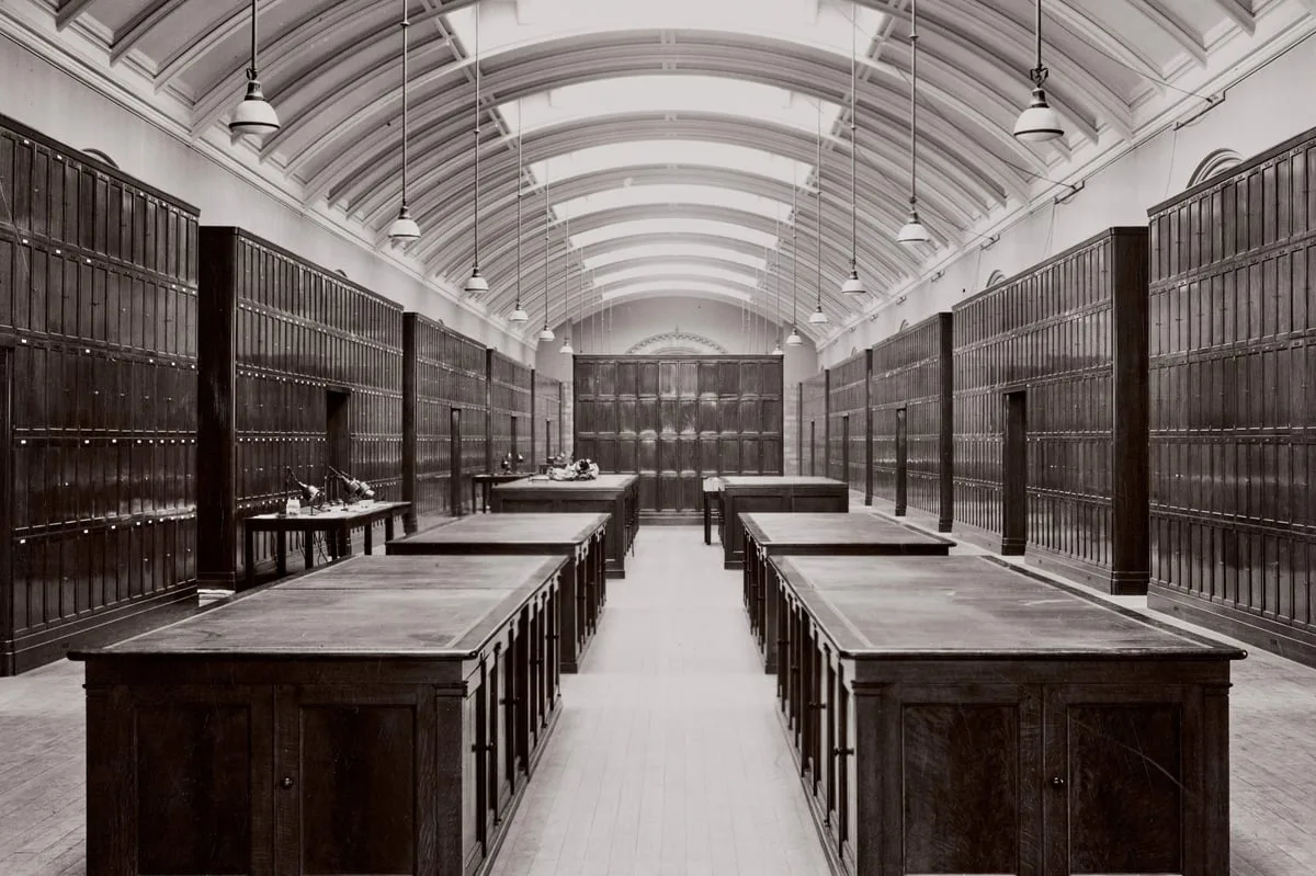 Natural History Museum to reopen hidden gallery closed since Second World War