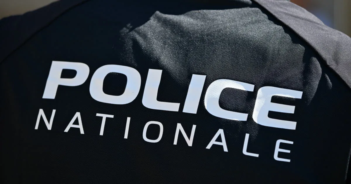 Justice. « 30 millions de préjudice » : six personnes condamnées après l'échec d'un logiciel de la police
