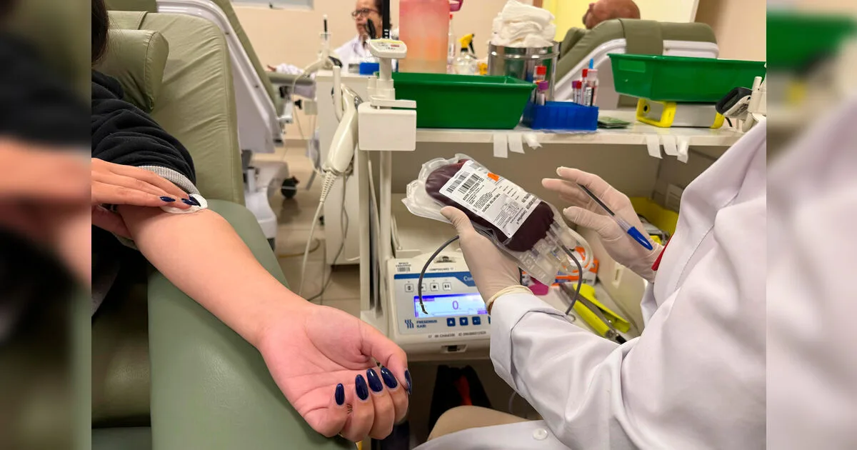 Hemepar reforça necessidade de doações de sangue em todo o Estado
