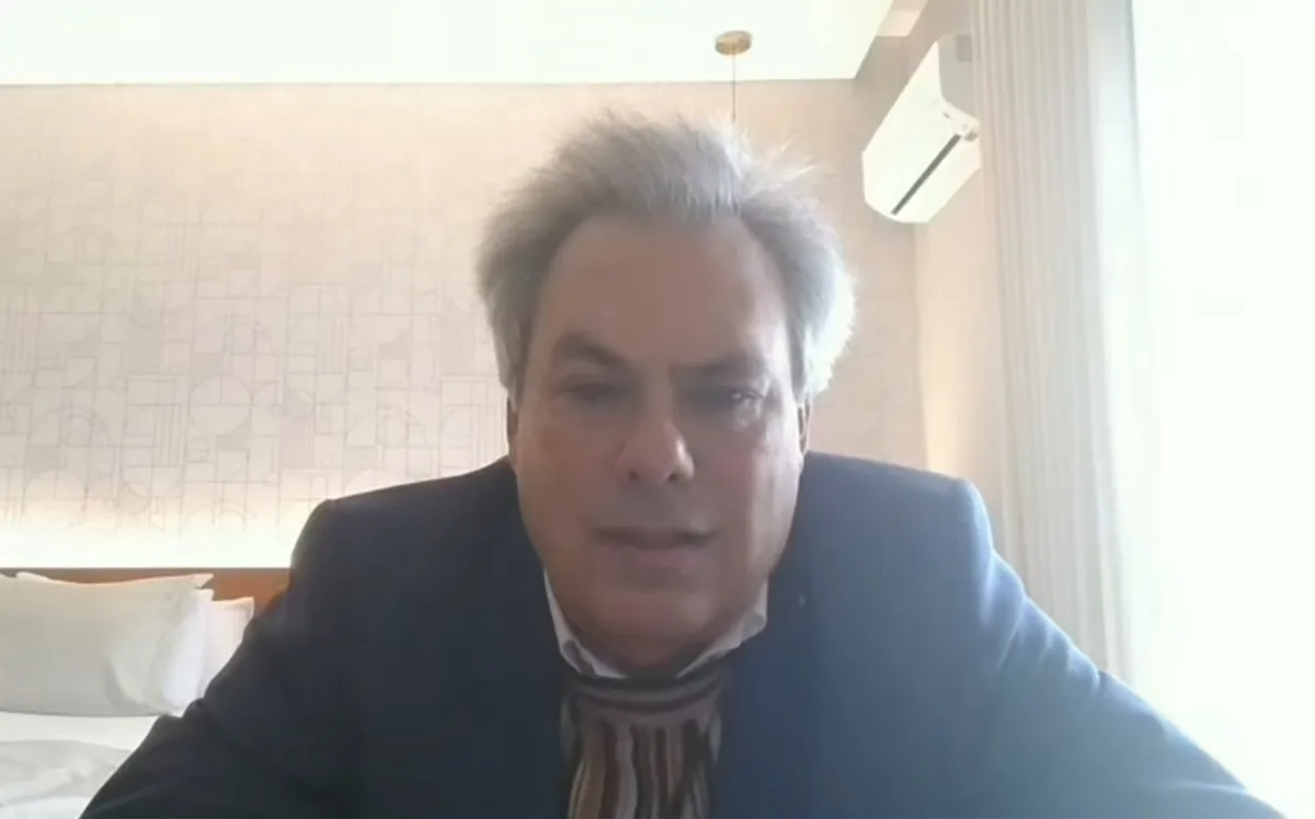 El economista que cenó con Milei habló del cierre de pymes: “Es doloroso, pero no se puede frenar la economía por eso”