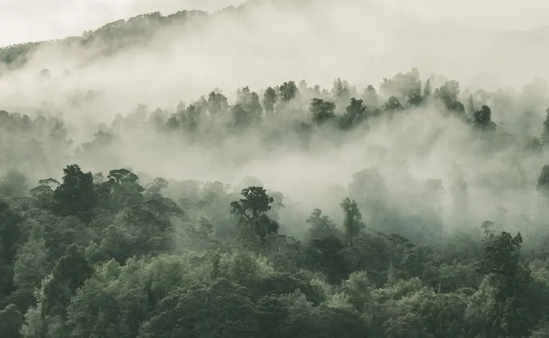 Frente fria derruba temperaturas e traz risco de geada no fim de semana; veja a previsão