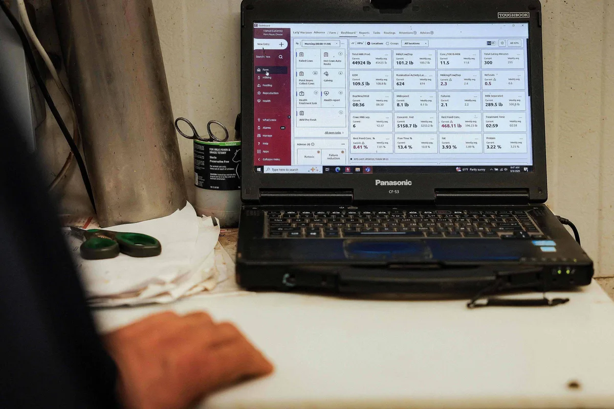 Teste avalia aplicativo de IA que identifica quem usou IA; veja o resultado