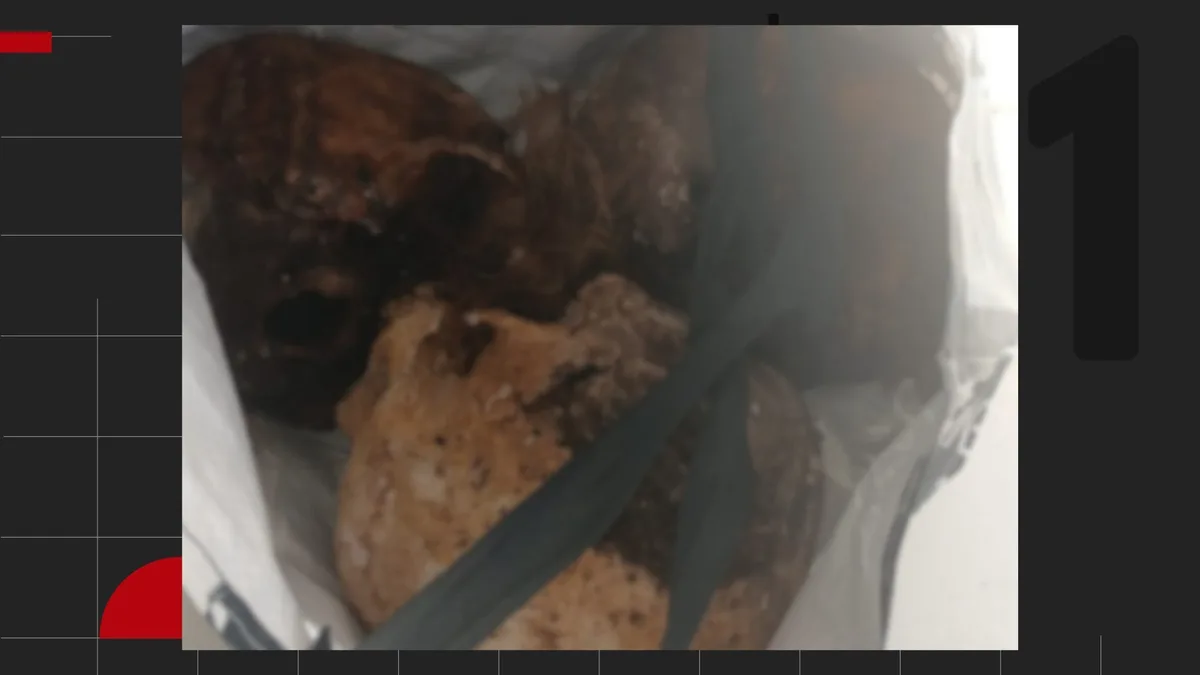 Paciente do CAPS é localizado com três crânios humanos em sacola no RS