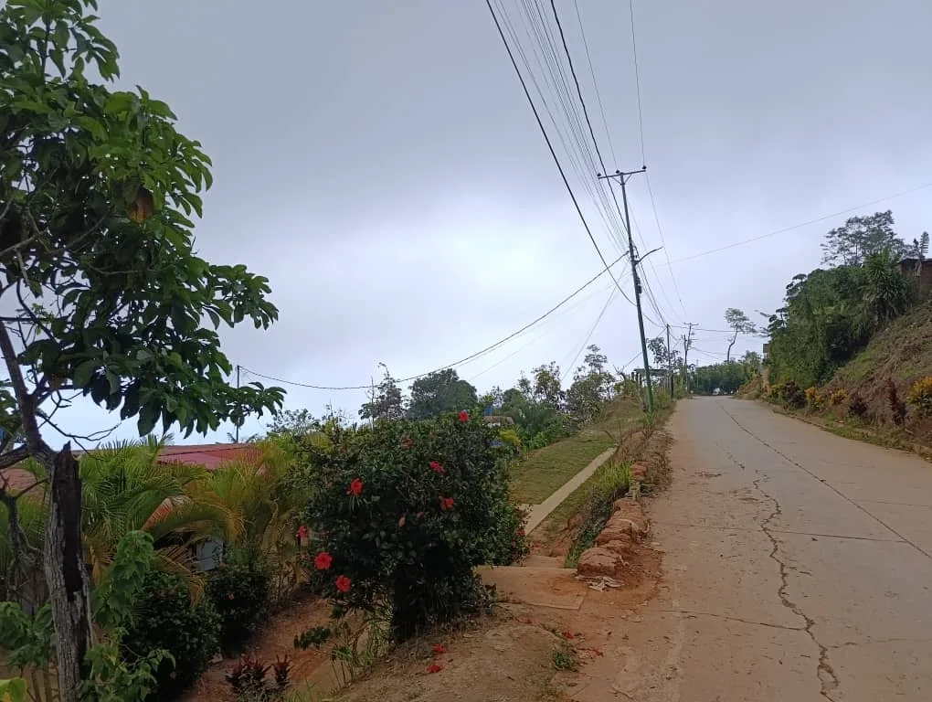 Trece familias de Carayaca conviven con etiquetas rojas y temen que lluvias y terremotos sigan moviendo la tierra