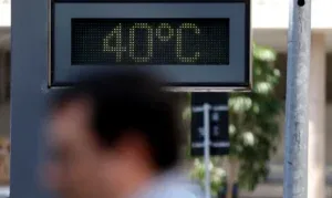 Constituição dos Sobreviventes: direitos fundamentais, permanência e emergência climática