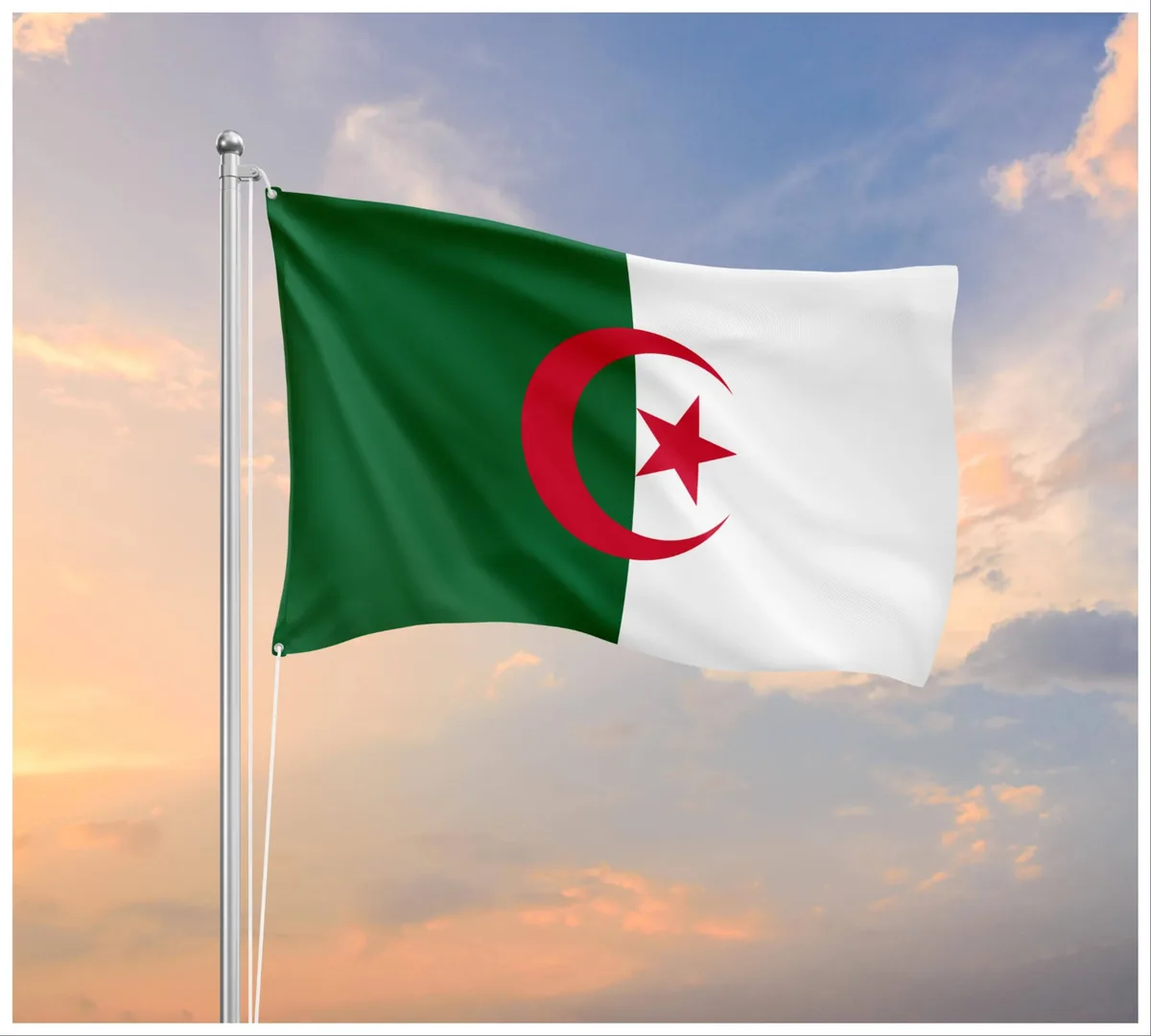 Algeria severs diplomatic ties with UAE, citing 'hostile' actions