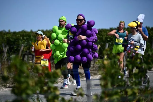 Au marathon du Médoc, “du vin, du fromage et 42 kilomètres” : “cherchez l’intrus”