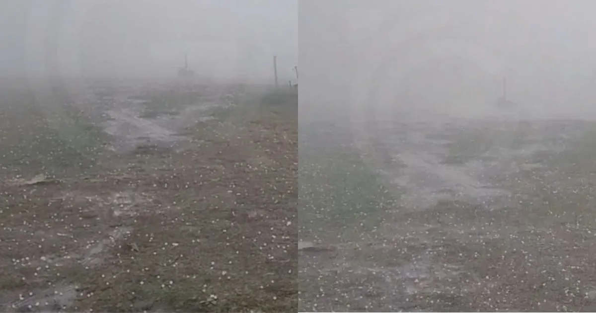 Sob alerta de perigo, chuva de granizo cai em cidade da Serra de SC e ‘pinta’ paisagem de branco