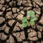 Tempo rei: a força normativa do tempo no direito climático