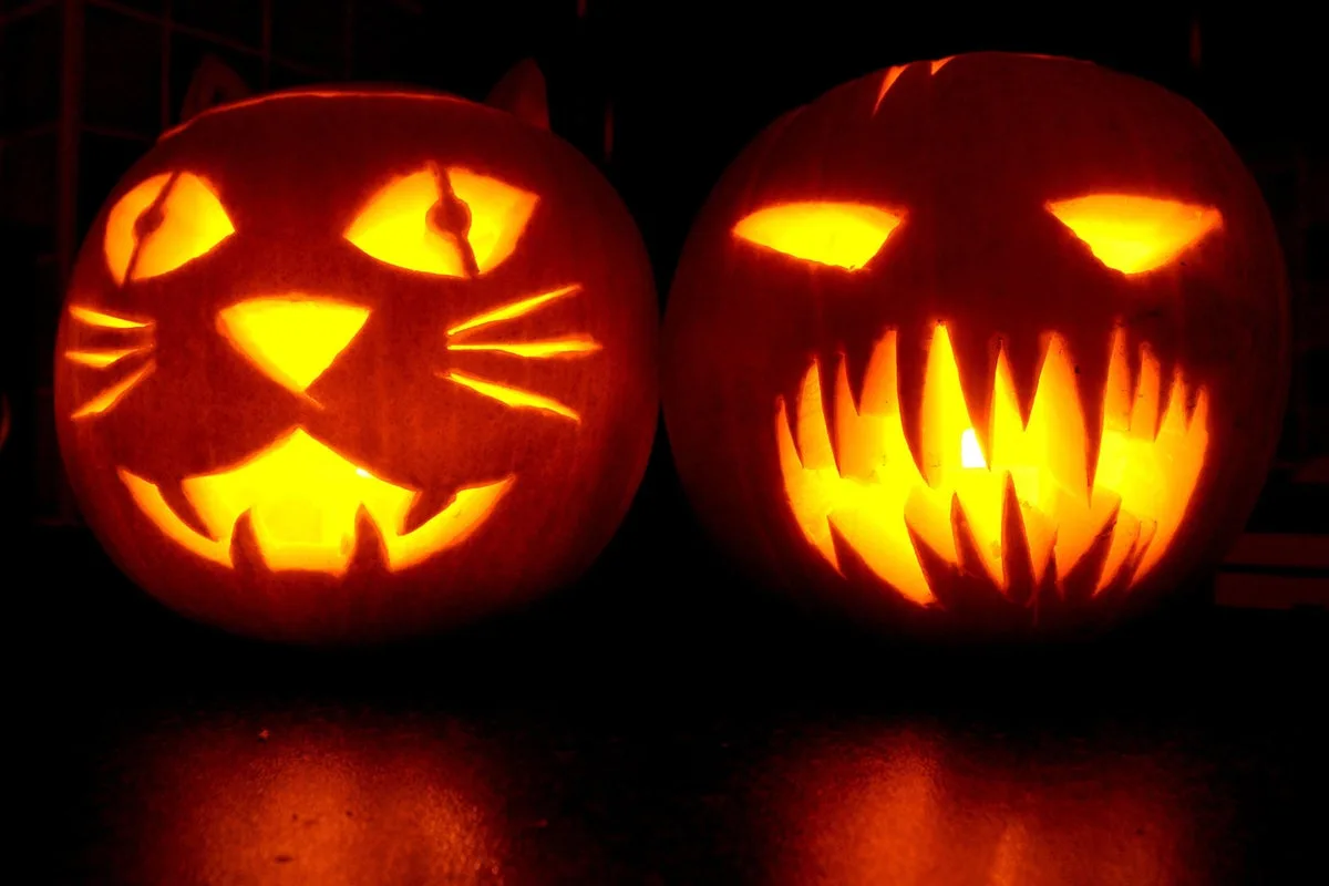 Pumpkin shortage warning this Halloween as weather hits UK's patches