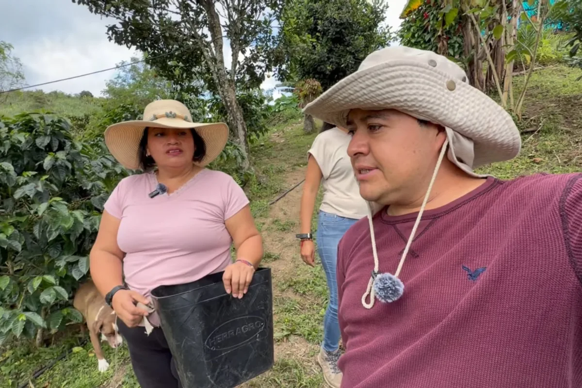 Pareja se fue a la montaña y cultiva sus alimentos: “Aquí vivimos felices, rodeados de naturaleza y tenemos todo”