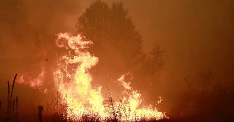 Incêndio atinge lar no Caramulo sem feridos a registar