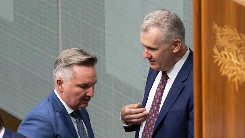 A very Labor wedding: Advisers to Tony Burke and Chris Bowen tie the knot