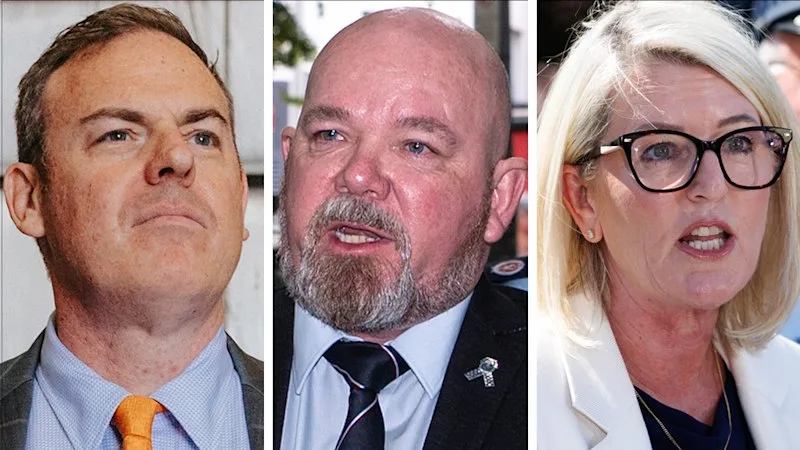 ‘Identity rabbit hole’: One Nation cops spray over criticism of Aboriginal flag pin