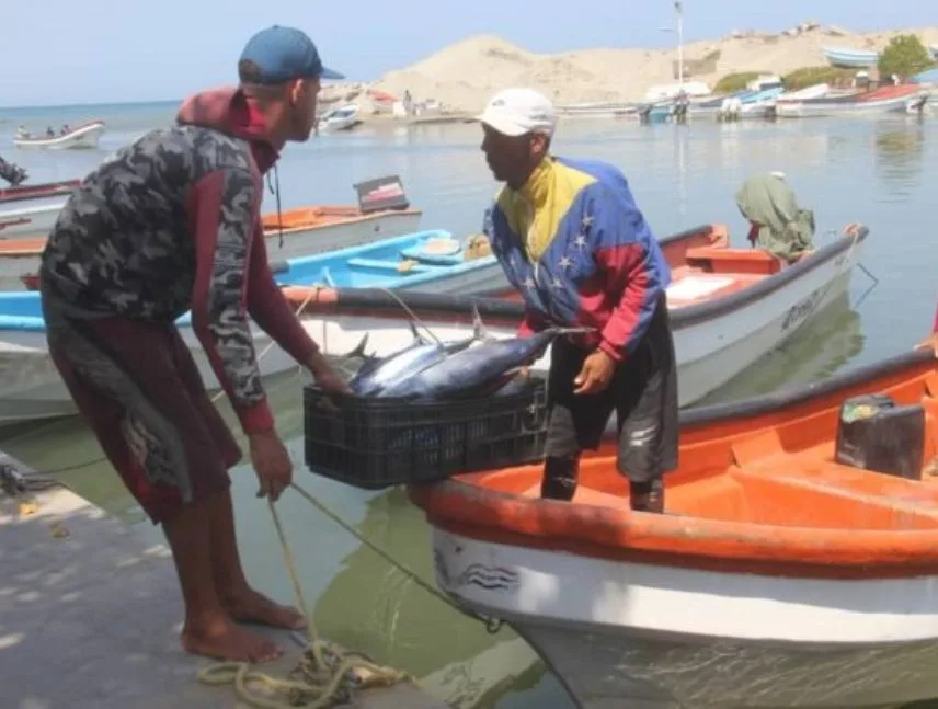 Pescadores de Caraballeda reactivan 70 % de su flota