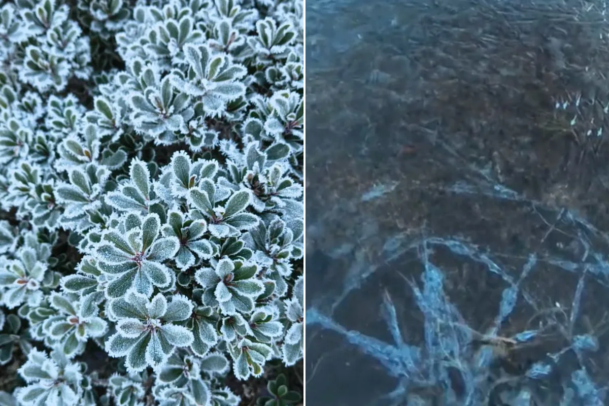 Frio volta a MG com chance de geada e temperatura caindo até 7°C
