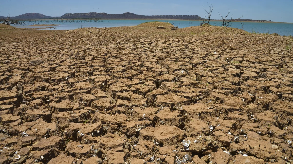O mais forte em décadas: o perigoso alerta sobre o El Niño que preocupa meteorologistas