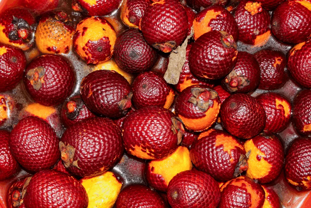 Buriti: descubra os benefícios do fruto e como incluí-lo na alimentação
