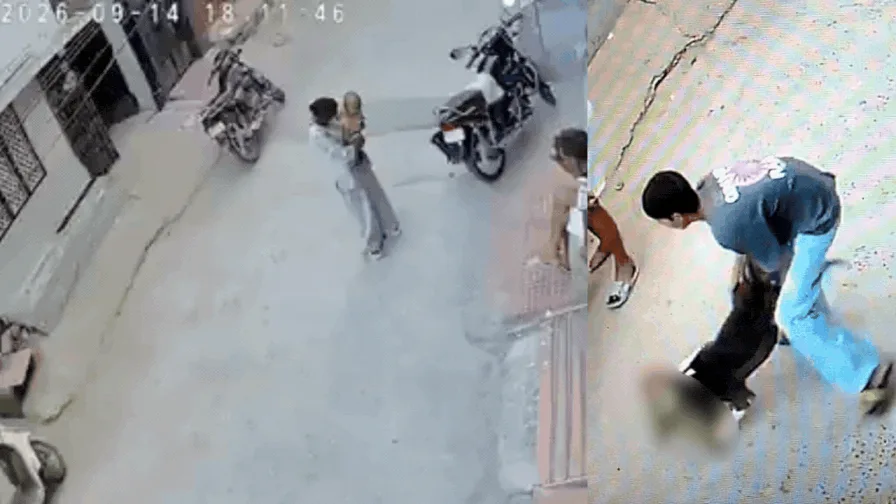 6-month-old boy mauled by pit bull in Sonipat, CCTV captures terrifying attack