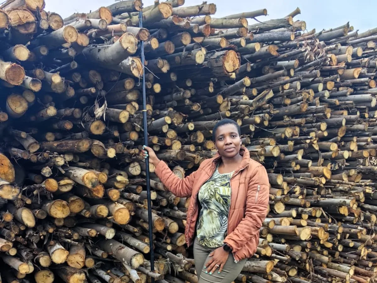 Qualifications failed to get her a job; now Dudu is making money from charcoal