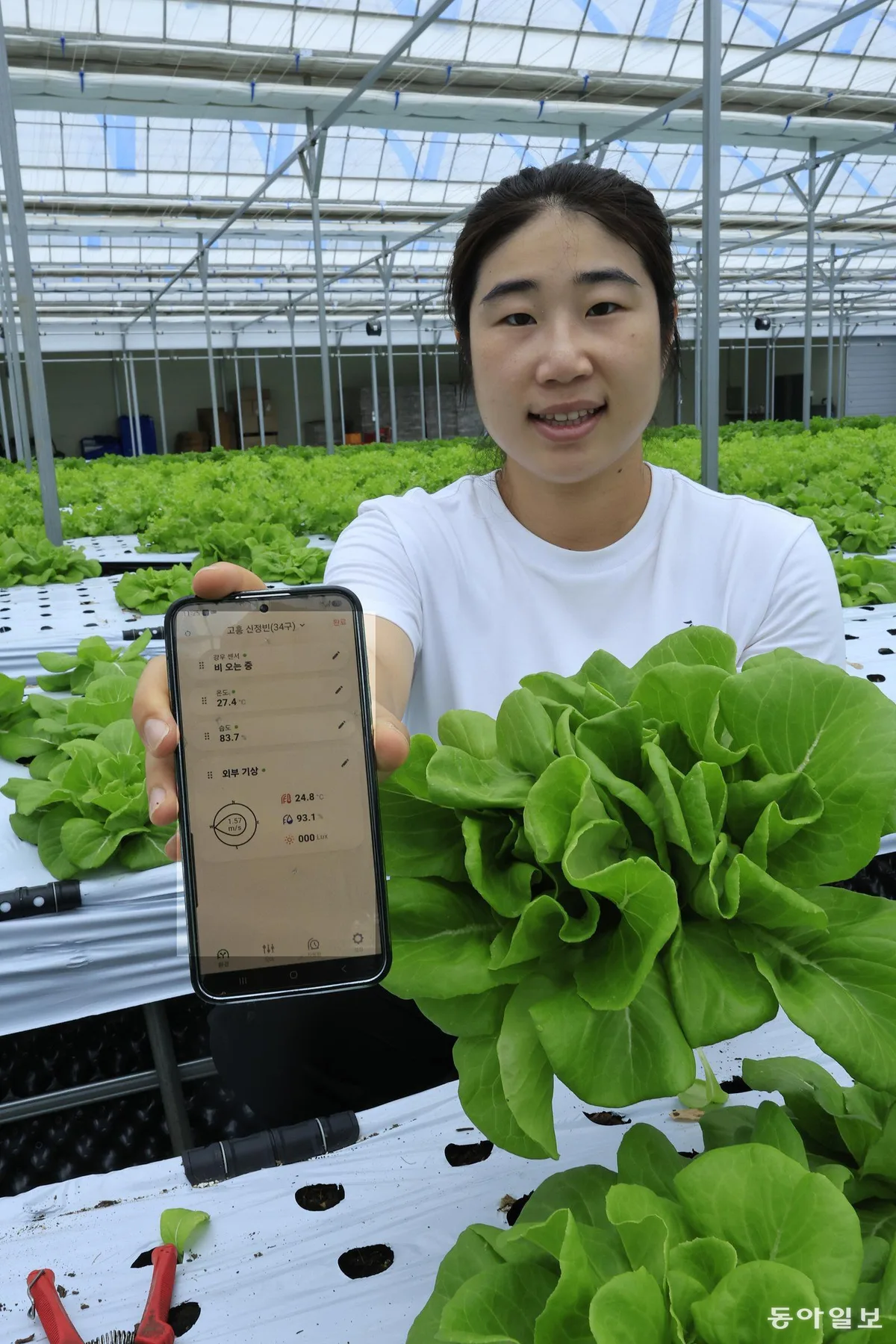 “천천히 키운 채소가 맛있어”…29세 농부의 ‘거북이 농업’