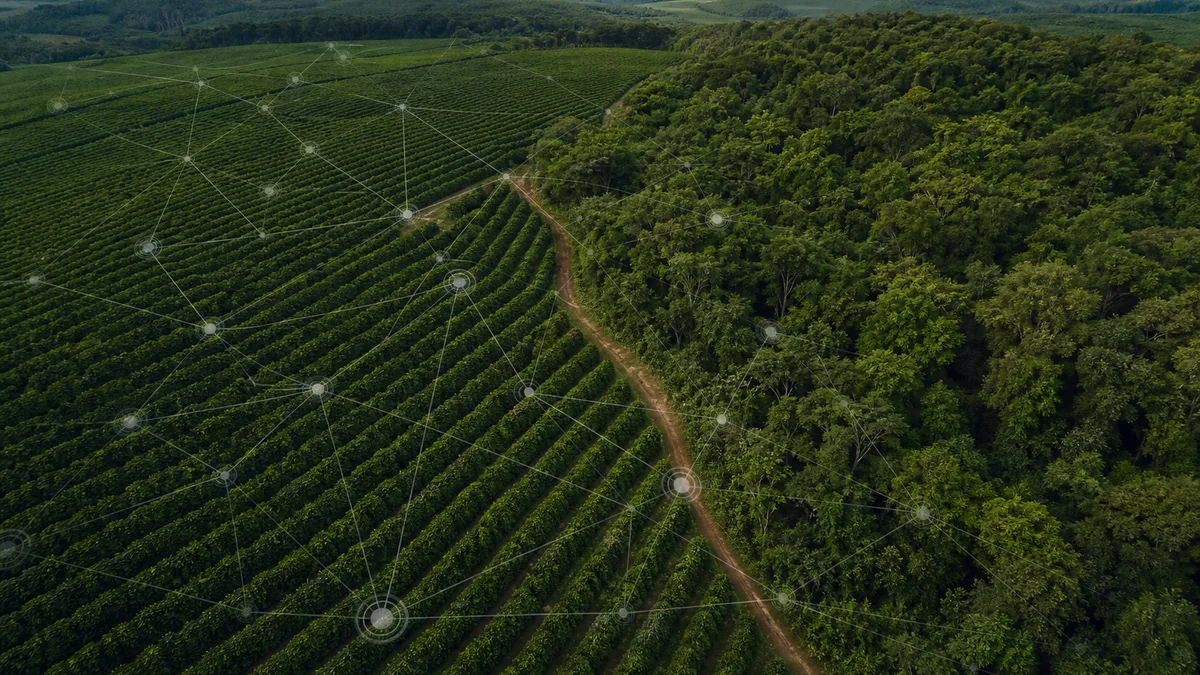 Como tecnologias verdes e gestão de risco estão blindando o campo