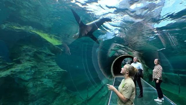 Unterwassertunnel: Zoo Leipzig eröffnet Erlebniswelt «Feuerland»