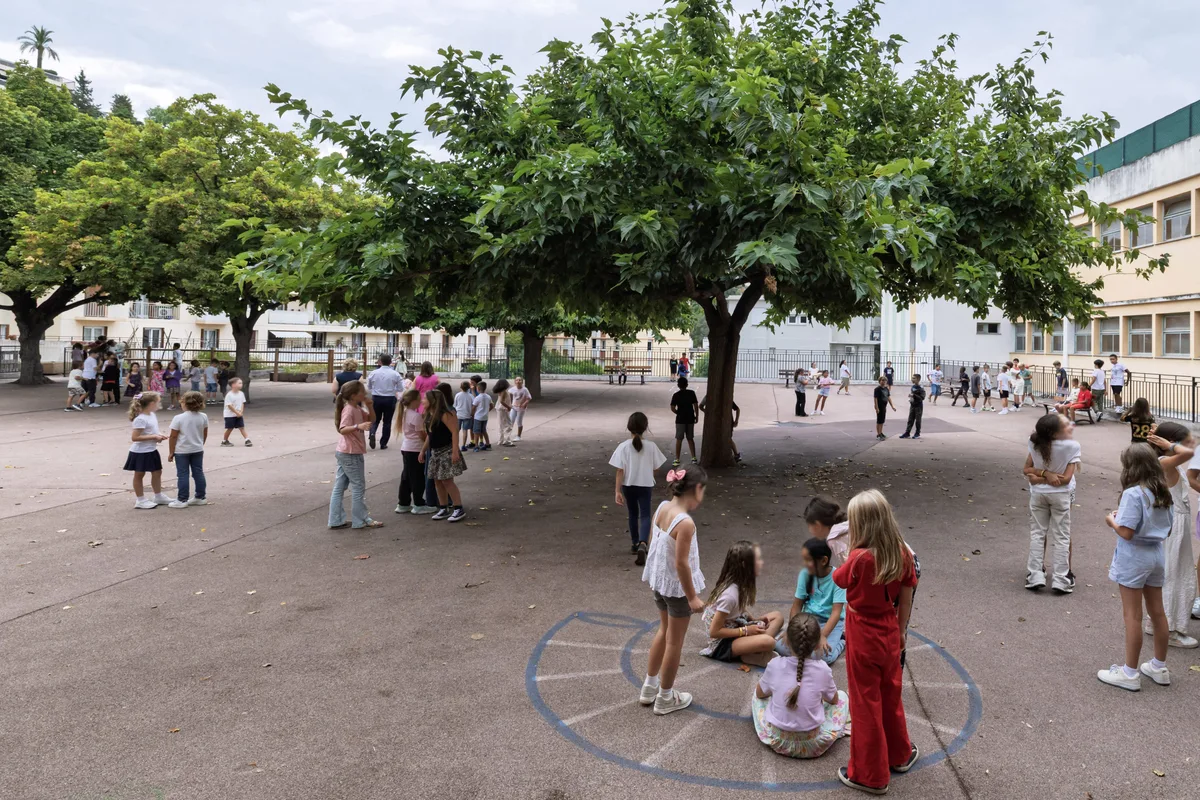 Plus d’arbres, moins de bagarres : pourquoi il faut financer la végétalisation des écoles en cette rentrée scolaire