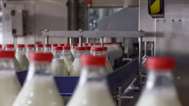Descidas no preço do leite custam 72 milhões aos produtores este ano