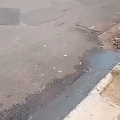 Moradores sofrem com esgoto a céu aberto e mau cheiro no Jardim Belo Horizonte