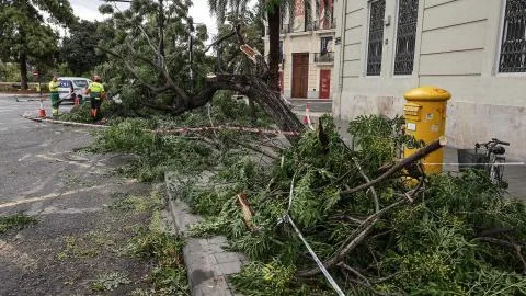 La dana Adam obliga a la activación de la UME y confinar zonas de Valencia y Alicante