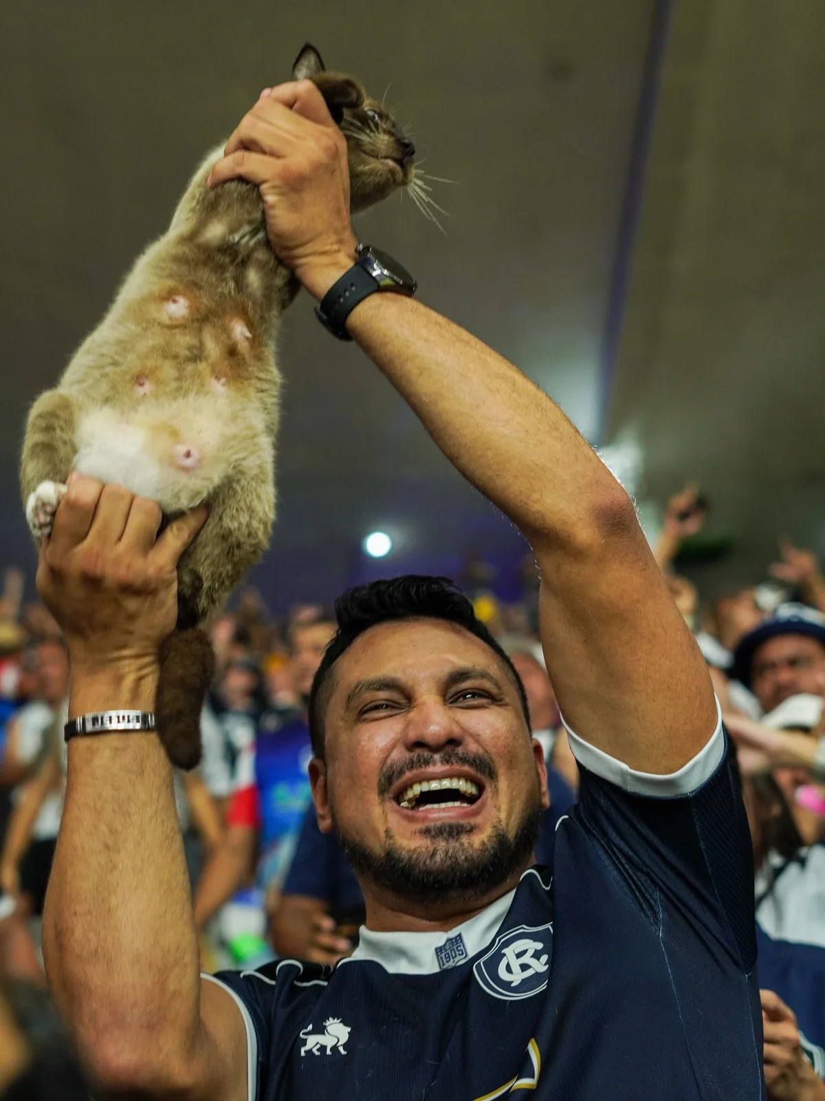 Gata no Mangueirão: pode levar animais ao estádio? Veja o que dizem as leis