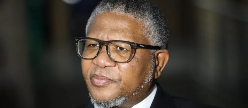 Mbalula questions DA’s role in GNU after ConCourt clash