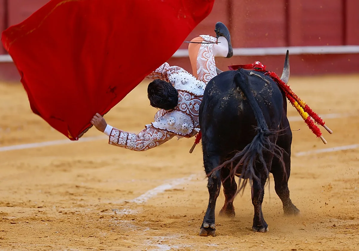 Toros en Málaga, en directo: sigue la corrida del jueves 20 de agosto con Morante de la Puebla, Diego Urdiales y Fortes