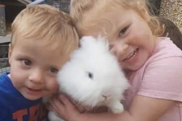 Mum left 'living own life sentence' after drink-driver who killed children released from prison early