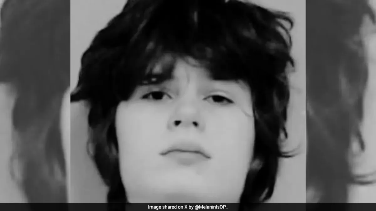How Jammed Rifle And A Coworker Stopped US Teen's Hindu Temple Shooting Plan