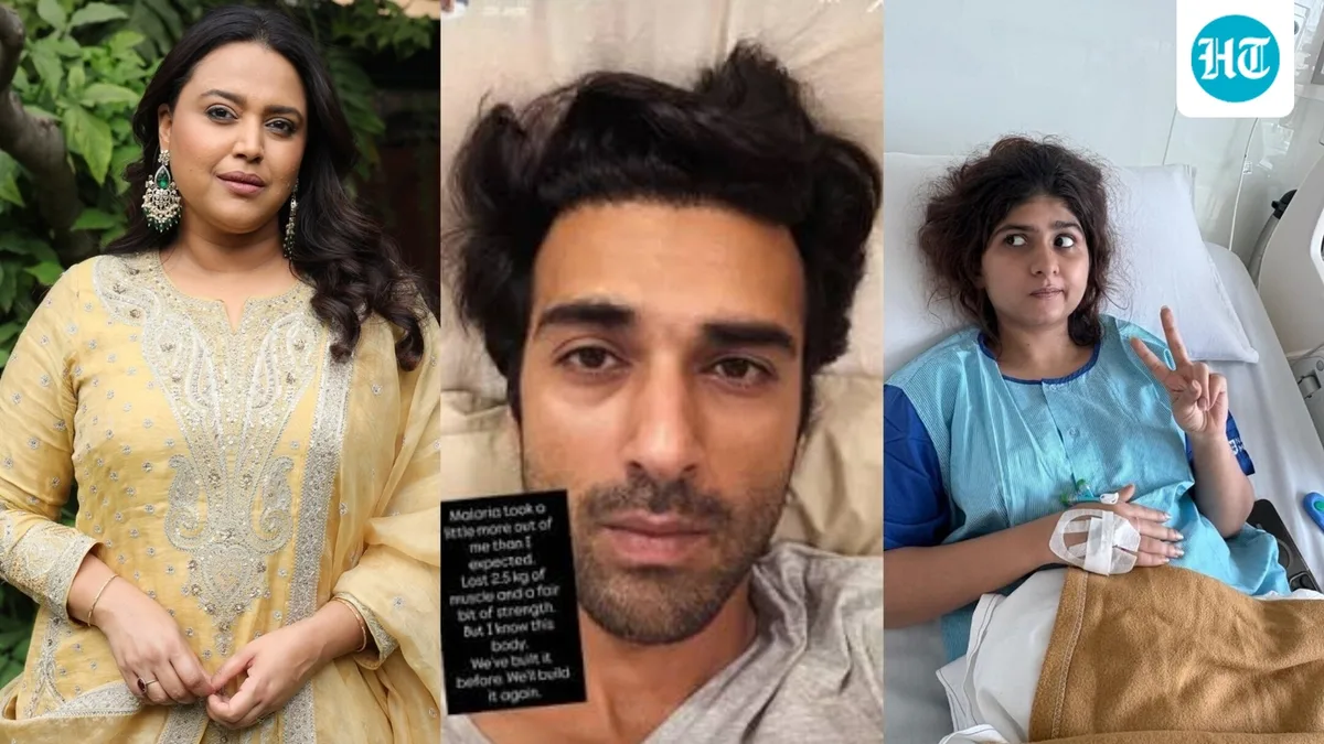 Pulkit Samrat, Swara Bhaskar and others | Meet the new villain in showbiz: The Mosquito