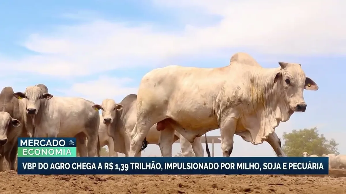 Valor bruto da produção agropecuária deve atingir R$ 1,39 trilhão em 2026